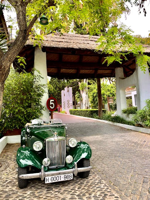 Classic green MG car with a number 5 sign